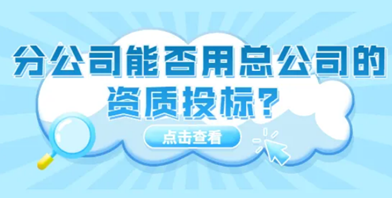 分公司能否用总公司的资质投标？（分公司可以代表总公司去投标吗？）.png